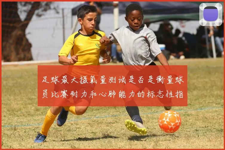 足球最大摄氧量测试是否是衡量球员比赛耐力和心肺能力的标志性指标