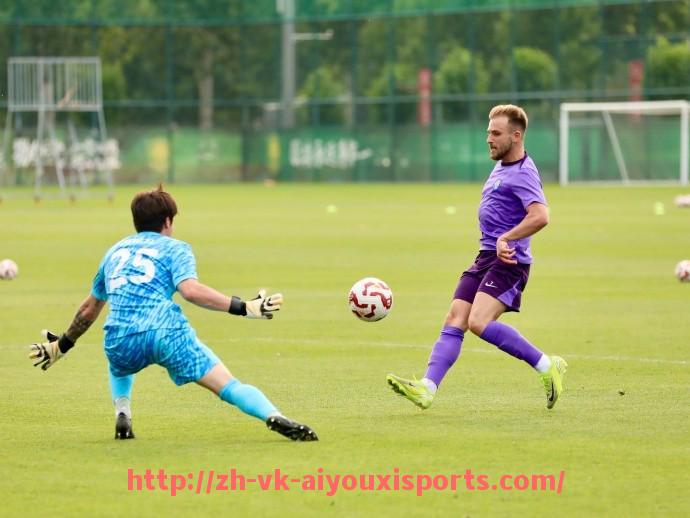 爱游戏体育官网-皇马西甲联赛2016至2017赛季表现全景分析